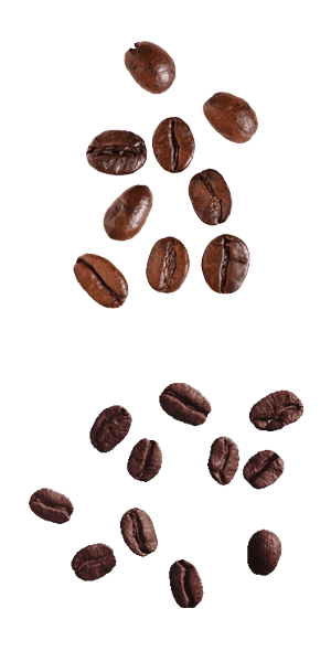 coffee3